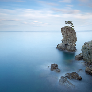 Pine tree on the rocks in the sea. Long exposure. Italy