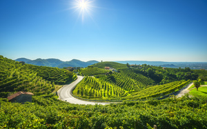Vineyards and road. Prosecco Hills. Valdobbiadene 