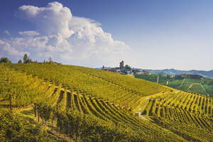 Langhe vineyards and Serralunga d Alba. Piedmont Italy