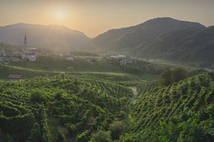 Prosecco Hills vineyards and Guia village at sunrise.