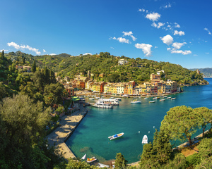 Magnificent view of Portofino. The village and the marina.