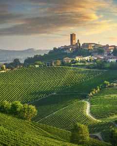 Barbaresco village and Langhe vineyards. Italy
