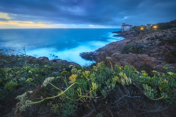 Boccale castle on the rocks rough sea and a plant Print