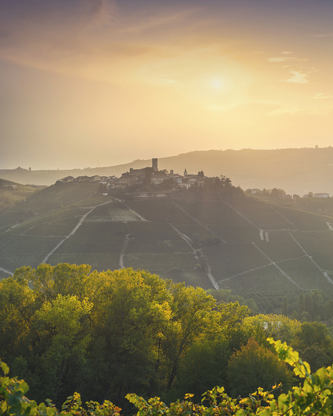 Langhe vineyards landscape and Castiglione Falletto village Print