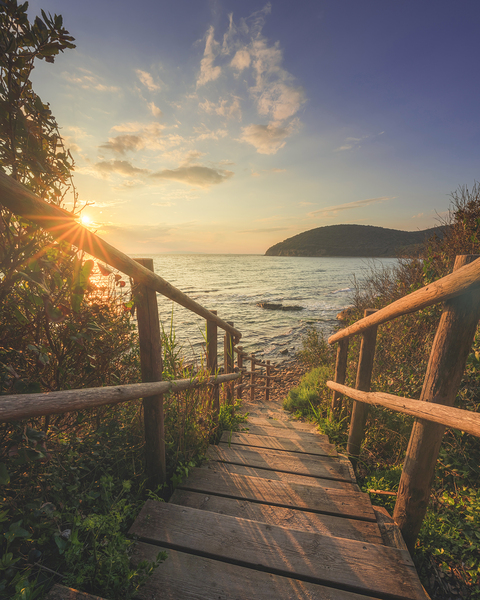 Descent to the sea in Cala Violina beach in Tuscany Print