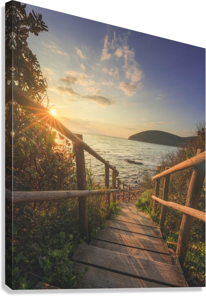 Descent to the sea in Cala Violina beach in Tuscany Canvas Print