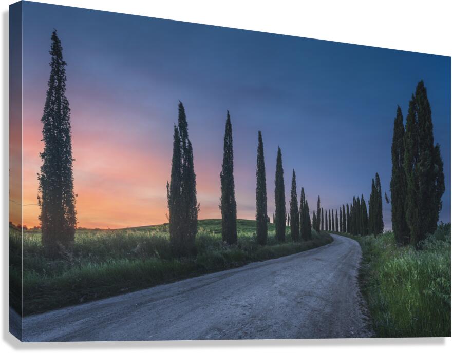 Country road with cypress trees at sunset. Tuscany Canvas Print