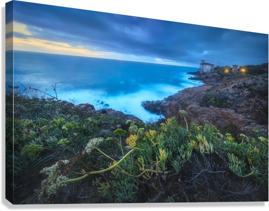 Boccale castle on the rocks rough sea and a plant Canvas Print