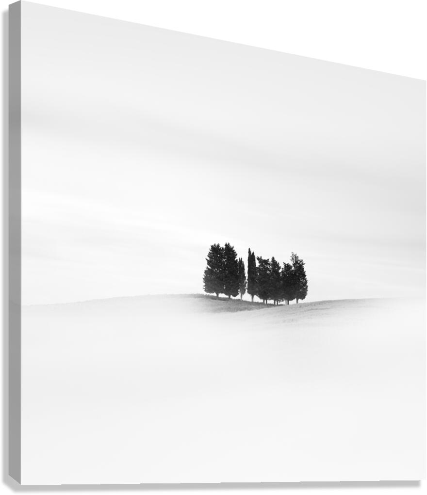 Eleven Trees Canvas Print