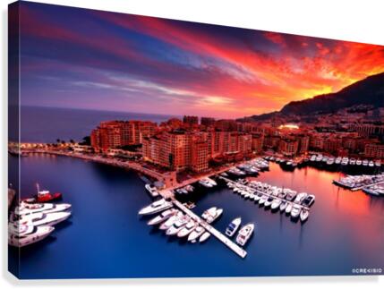 Crevisio Canvas Print