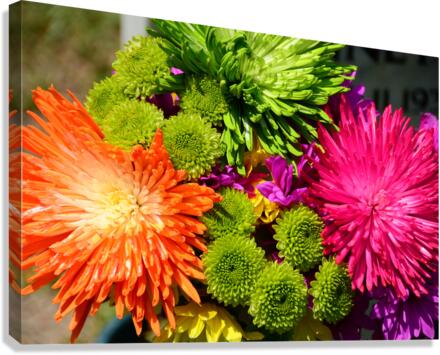 Flower Power Canvas Print