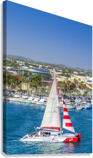 Red Sail Aruba Canvas Print