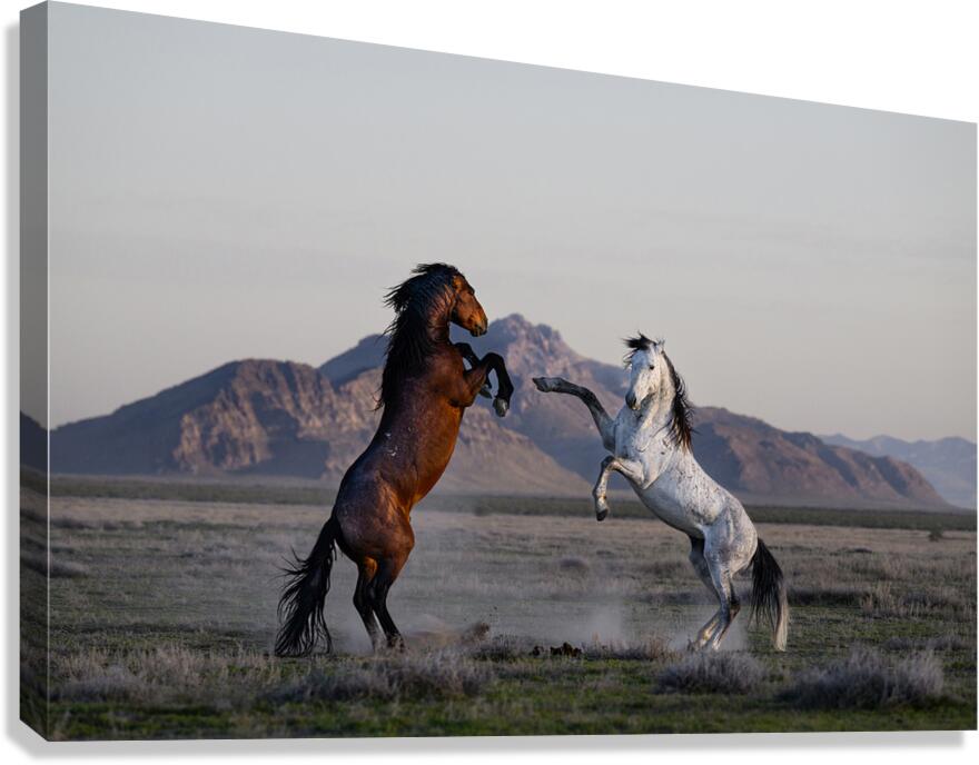 TRIUMPH Canvas Print