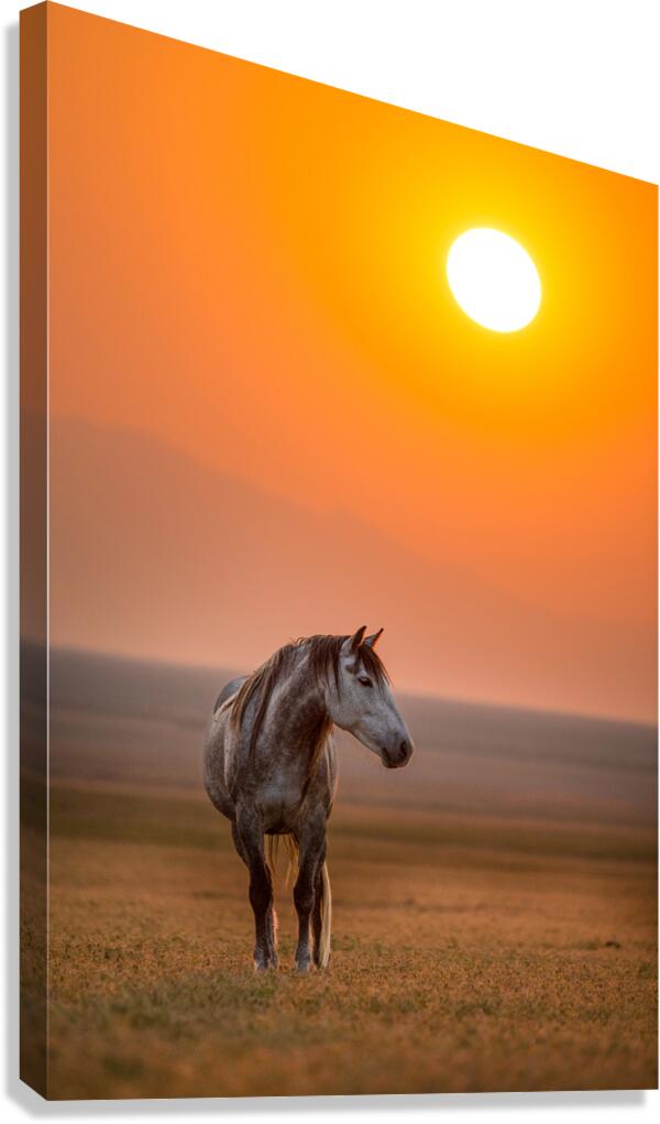 SOLITUDE Canvas Print