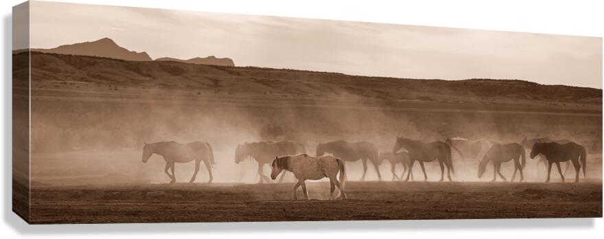 PERSEVERANCE Canvas Print