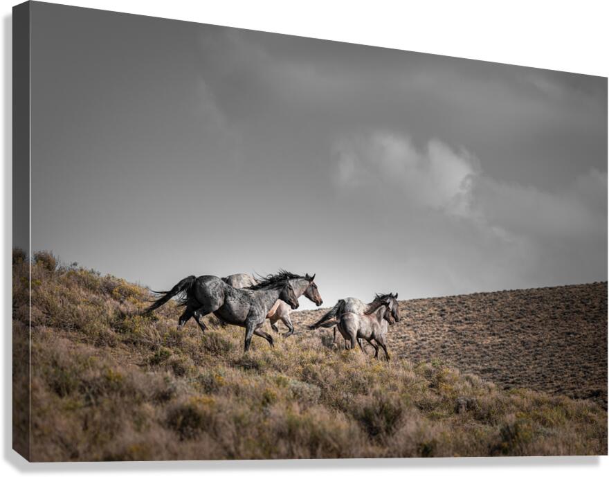 SOLIDARITY  Canvas Print