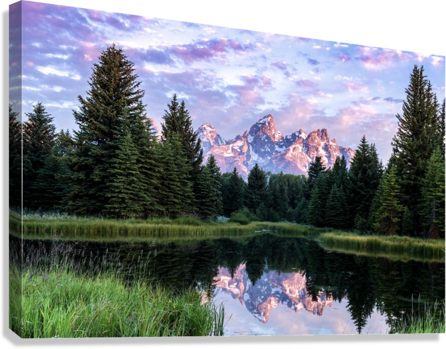 REFLECTION  Canvas Print