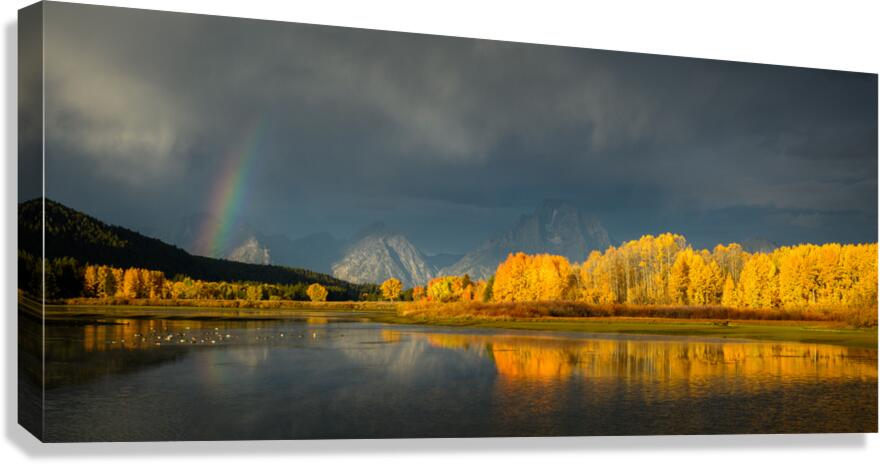 HOPE 2  Canvas Print