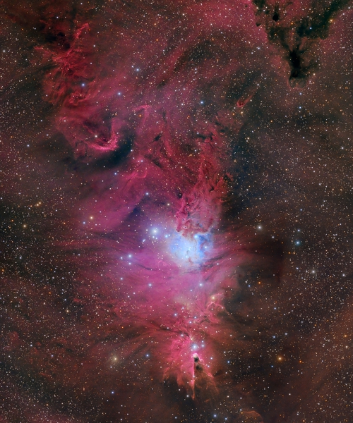 Cone Nebula Print