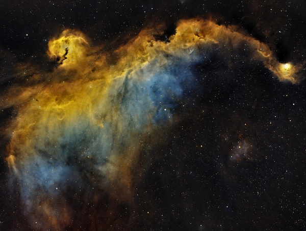 Seagull Nebula Print