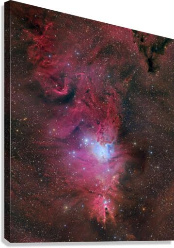 Cone Nebula Canvas Print