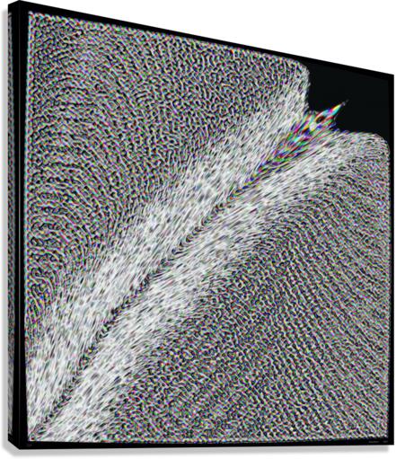 ZIP Canvas Print