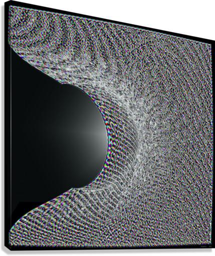 OOF Canvas Print
