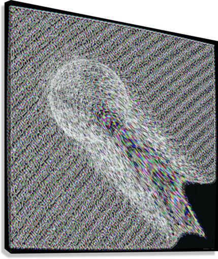 Pow Canvas Print