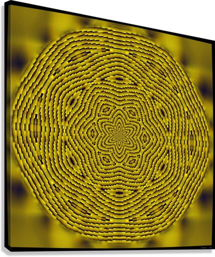 Gaze Canvas Print