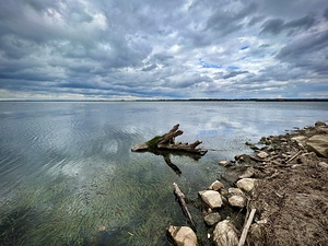 Wheeler Lake and Tree