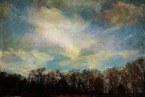 Clouds Ascending over Trees