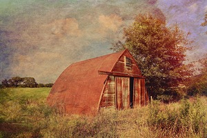 The Shed at Vigo