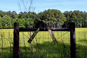 Pasture Gate