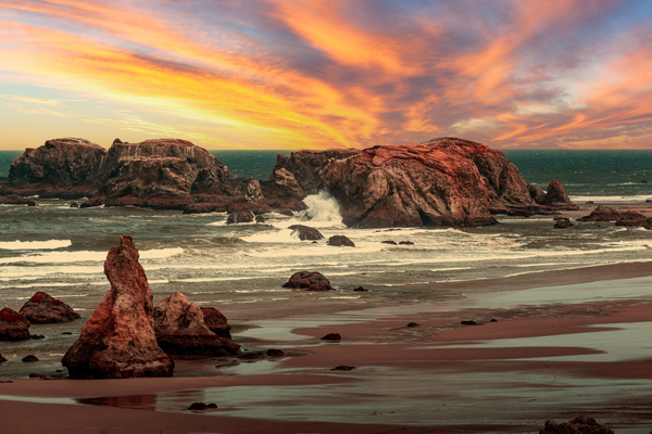 Bandon Beach Oregon Coast Table Rock Seabird Seascape by Harold Rau