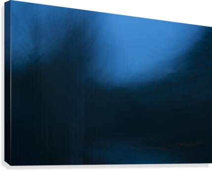 Blue Canvas Print