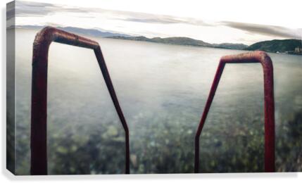 trappan Canvas Print