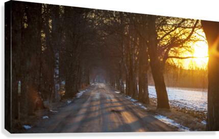 Bye bye winter Canvas Print