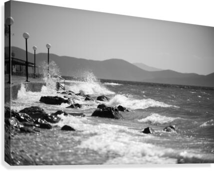 waves Canvas Print
