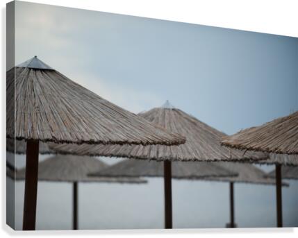 hats Canvas Print