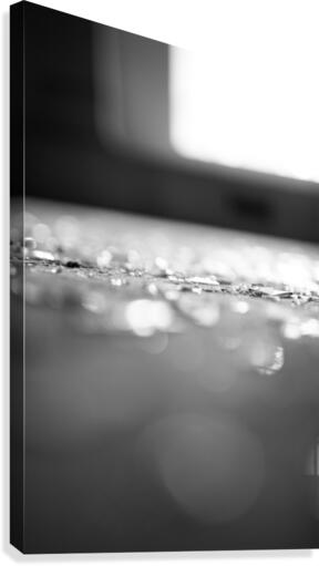 Glass Canvas Print