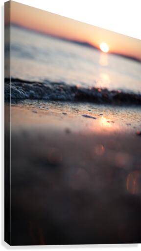 brake Canvas Print