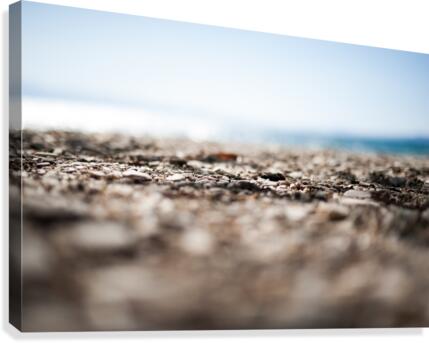 beach closeup Canvas Print