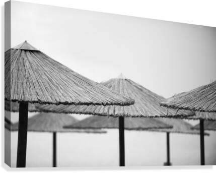 umbrellas Canvas Print
