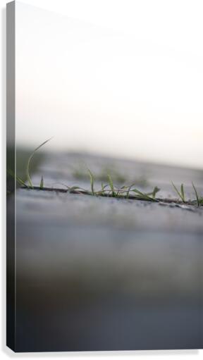 green Canvas Print