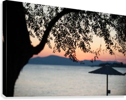 siluets again Canvas Print