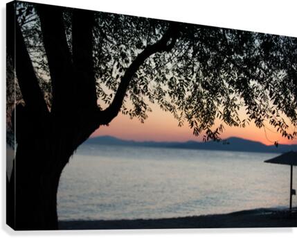 siluets Canvas Print
