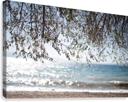 hung in there Canvas Print