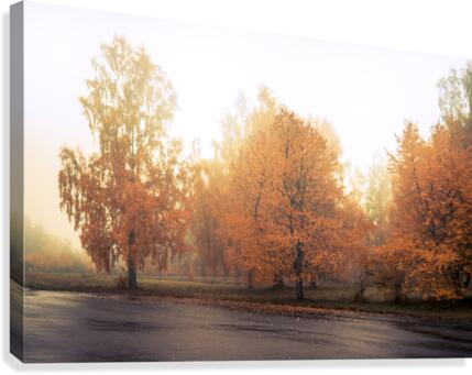 Habo Canvas Print