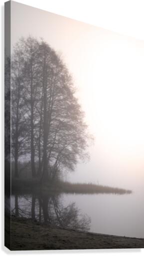 Dimman igen Canvas Print