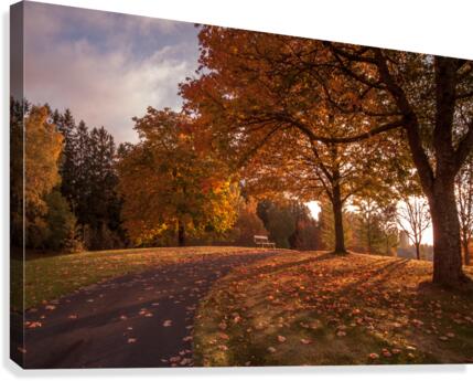 Bench Canvas Print